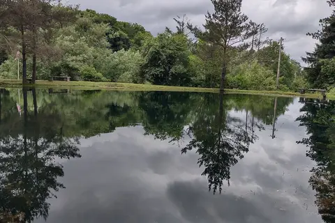 Camp Emerald Acres