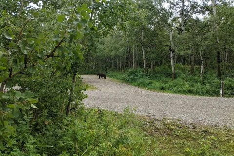Police Outpost Provincial Park