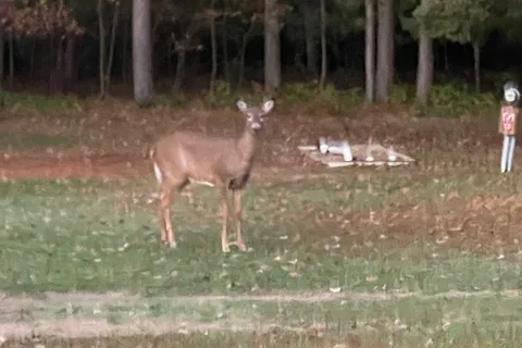Craneberry Campground