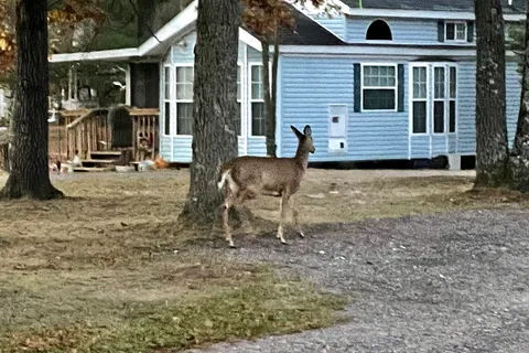 Craneberry Campground