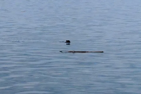 Beaver Lake Provincial Recreational Area