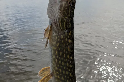 Beaver Lake Provincial Recreational Area