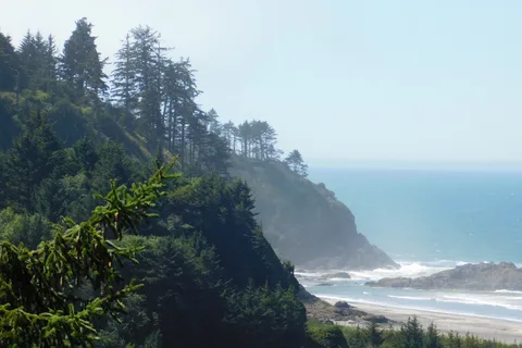 Beacon Charters and RV Park
