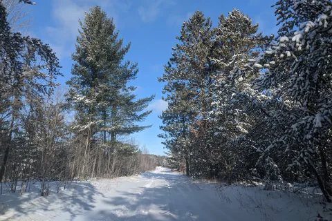 Traverse City State Park Campground