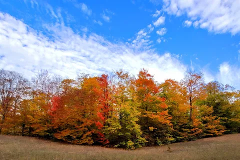 Traverse City State Park Campground