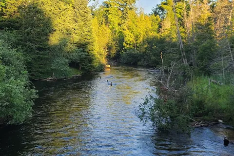 Traverse City State Park Campground