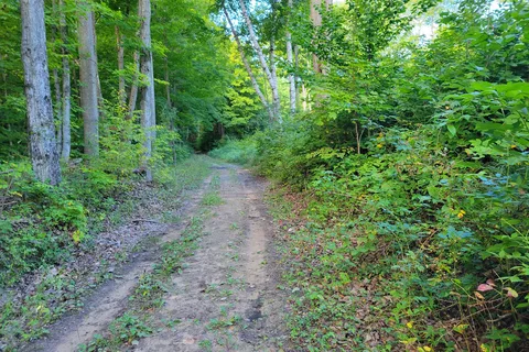 Traverse City State Park Campground