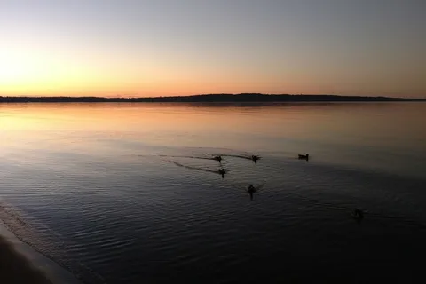 Traverse City State Park Campground