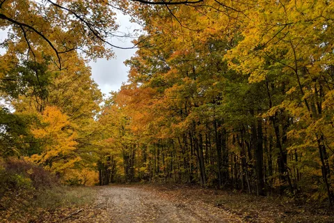 Traverse City State Park Campground