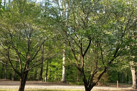 John W Kyle State Park
