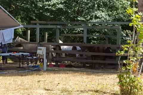 Hares Canyon Horse Camp - L L Stub Stewart State Park
