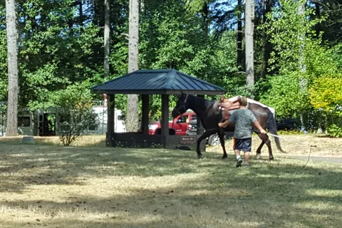 Hares Canyon Horse Camp - L L Stub Stewart State Park