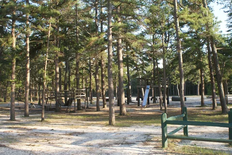 Wading Pines Camping Resort