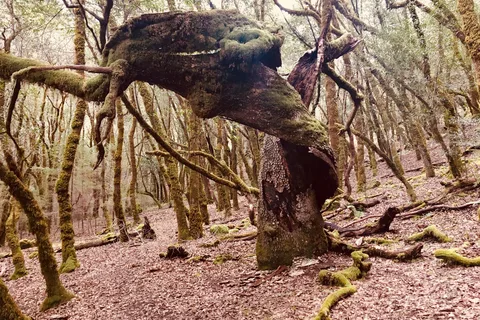 Austin Creek State Recreational Area