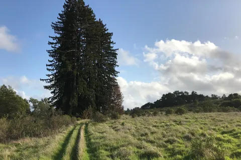 Austin Creek State Recreational Area