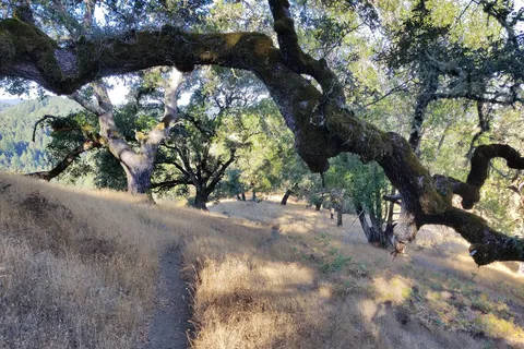 Austin Creek State Recreational Area