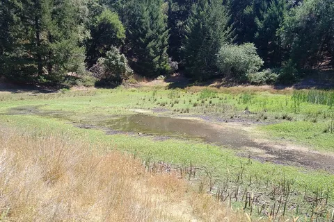 Austin Creek State Recreational Area