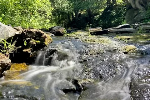 Murphys Point Provincial Park