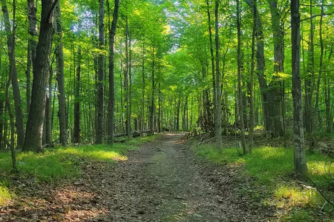 Murphys Point Provincial Park
