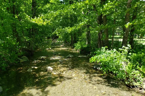 Camp Plymouth State Park