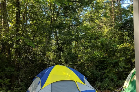 Notchy Creek Campground
