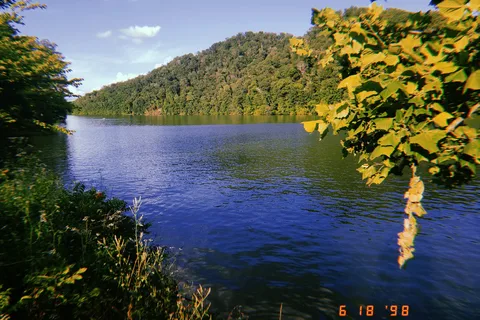 Notchy Creek Campground