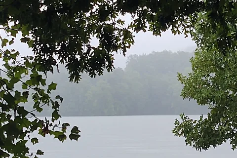 Notchy Creek Campground