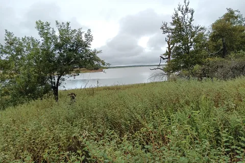 Nails Creek - Equestrian - Lake Somerville State Park