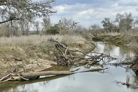 Nails Creek - Equestrian - Lake Somerville State Park