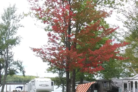 Big Lake Shores Campground and The Lounge