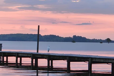Rocks Pond Campground and Marina