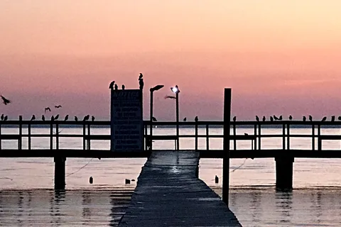 Rocks Pond Campground and Marina