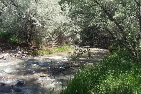 Ponderosa Campground