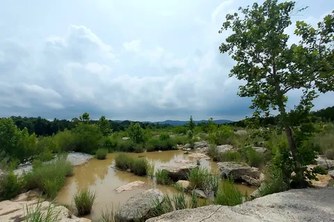 Nueces River RV and Cabin Resort
