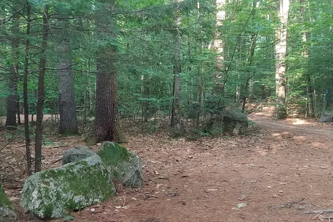 Wolfeboro Campground
