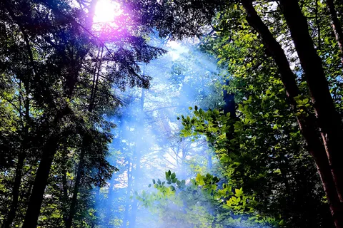 Wolfeboro Campground