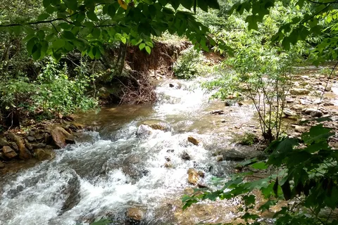 Stonyfork Creek RV Park
