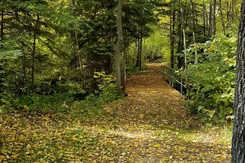 Cripple Creek Campground