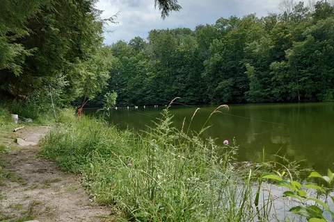 Lackawanna State Park