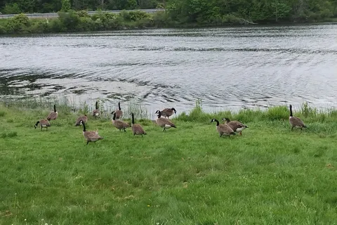 Lackawanna State Park