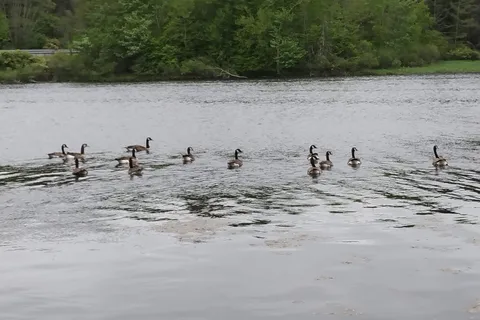 Lackawanna State Park