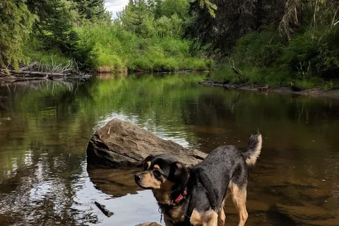 Chambers Creek Provincial Recreational Area