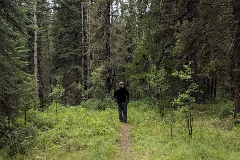 Chambers Creek Provincial Recreational Area