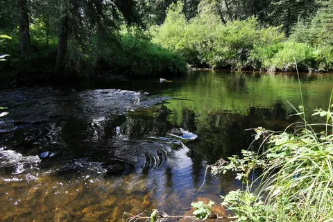Chambers Creek Provincial Recreational Area
