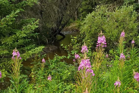 Chambers Creek Provincial Recreational Area