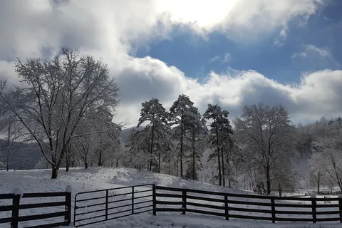 Walnut Hollow RV Ranch