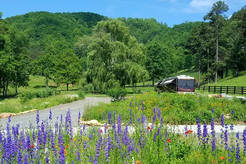 Walnut Hollow RV Ranch