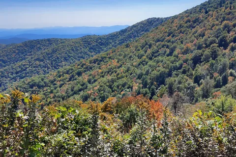 Asheville West KOA Holiday