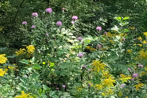 Dead Timber State Recreation Area