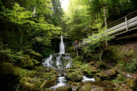 Fundy National Park Of Canada